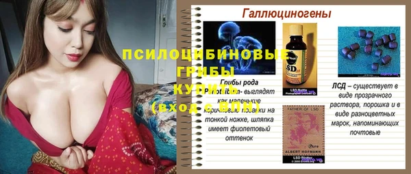 ГАЛЛЮЦИНОГЕННЫЕ ГРИБЫ Краснослободск