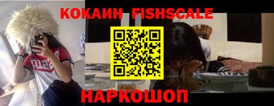 дмт Камышлов