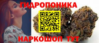 spice Балашиха