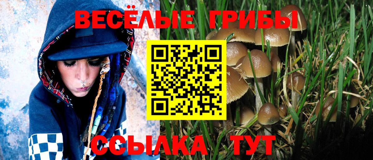 Галлюциногенные грибы мицелий Черногорск