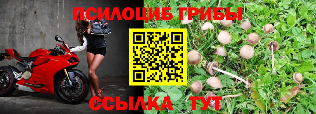 Псилоцибиновые грибы Magic Shrooms  Черногорск 